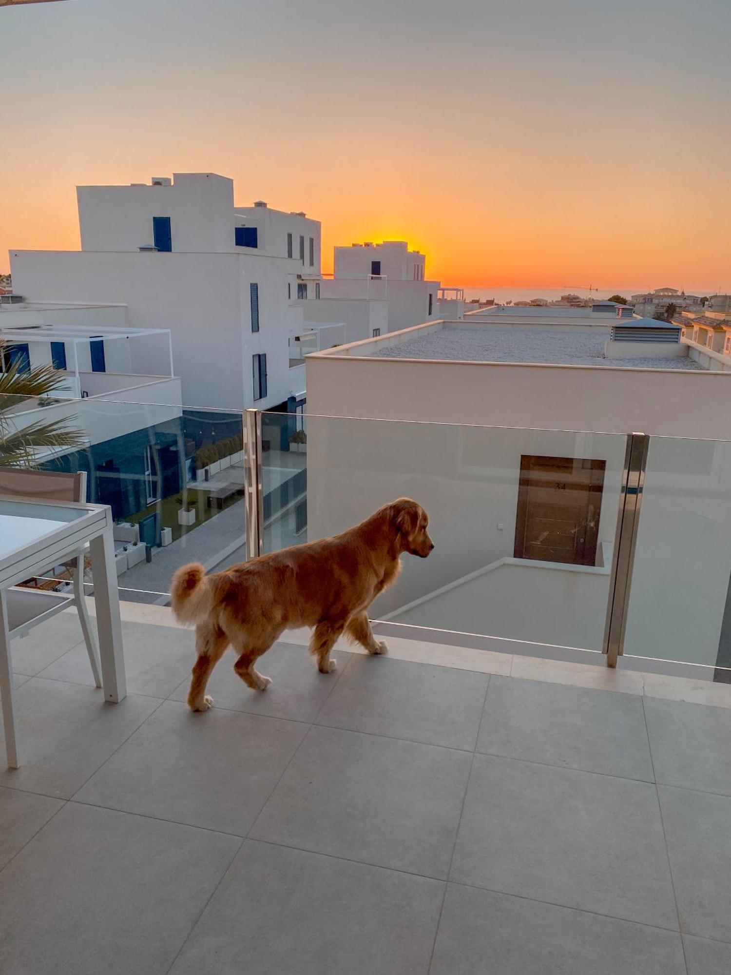 Апартаменти Hola Blanca - Sea, Golf, Chill Dehesa de Campoamor  Екстер'єр фото